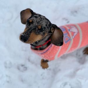 Meet your Posher, Margo